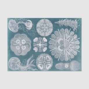 Sealife Blueprint IV Tissuepapier