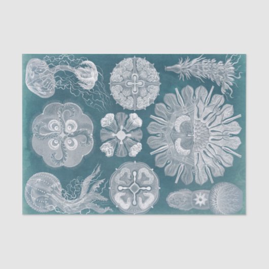 Sealife Blueprint IV Tissuepapier (Voorkant)