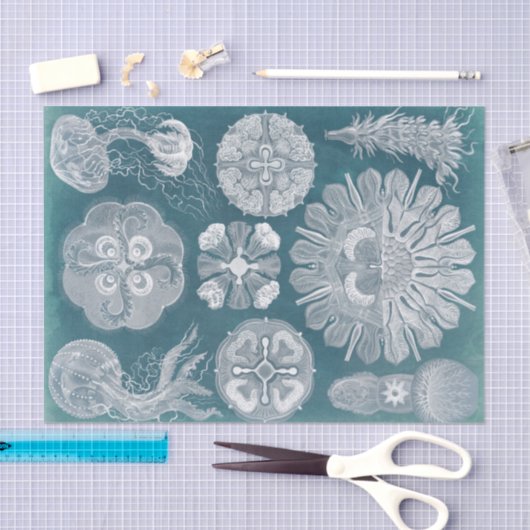 Sealife Blueprint IV Tissuepapier (Craft)