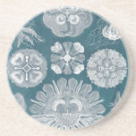 Sealife Blueprint IV Zandsteen Onderzetter<br><div class="desc">Mariene Leven</div>