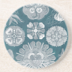 Sealife Blueprint IV Zandsteen Onderzetter