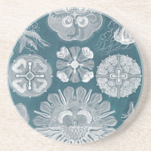 Sealife Blueprint IV Zandsteen Onderzetter (Voorkant)