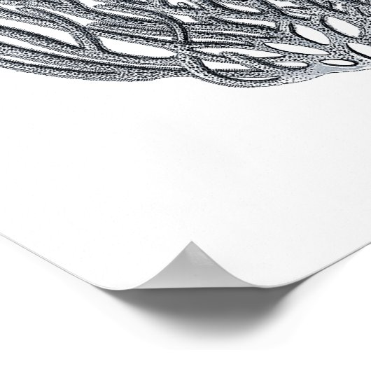 Sealife Group12A Print 1 (Hoek)