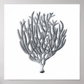 Sealife Group12A Print 1 (Voorkant)