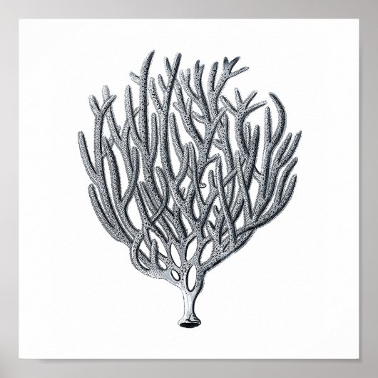 Sealife Group12A Print 1 (Voorkant)