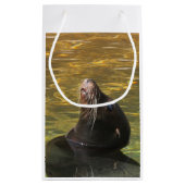 Sealion Klein Cadeauzakje (Achterkant)