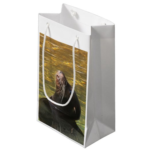 Sealion Klein Cadeauzakje (Voorkant Gekanteld)
