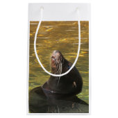 Sealion Klein Cadeauzakje (Voorkant)