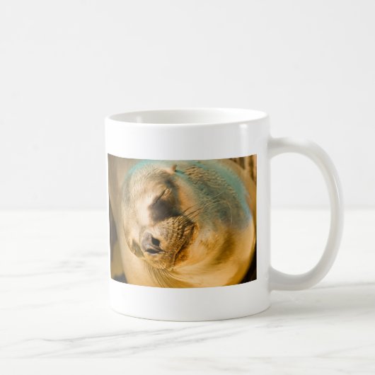 Sealion Koffiemok (Rechts)