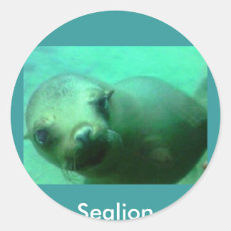 Sealion Ronde Sticker
