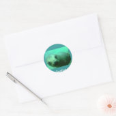 Sealion Ronde Sticker (Envelop)