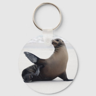 Sealion Sleutelhanger