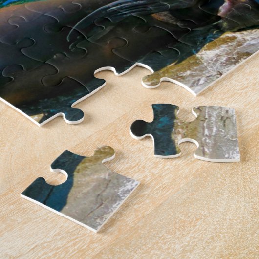 Seals Robbeneiland Florida. Jigzaag Puzzle Legpuzzel (Zijkant)