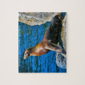 Seals Robbeneiland Florida. Jigzaag Puzzle Legpuzzel (Verticaal)