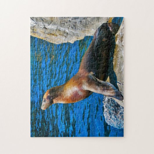 Seals Robbeneiland Florida. Legpuzzel (Verticaal)