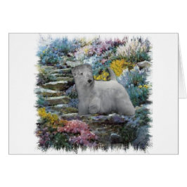 Sealyham Terrier Art