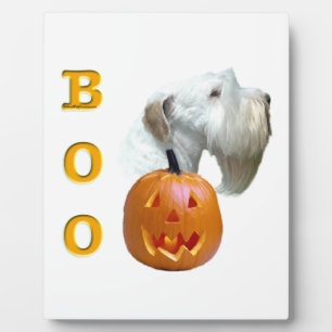 Sealyham Terrier Boo Fotoplaat