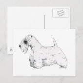 Sealyham Terrier Briefkaart (Voorkant / Achterkant)