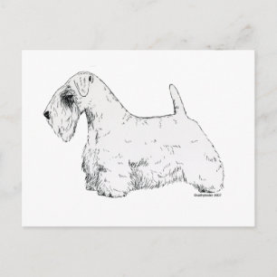 Sealyham Terrier Briefkaart