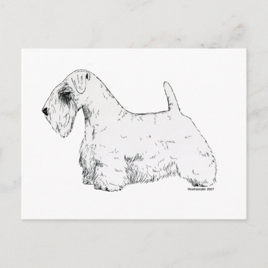Sealyham Terrier Briefkaart (Voorkant)