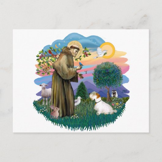 Sealyham Terrier Briefkaart (Voorkant)