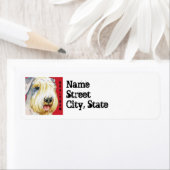 Sealyham Terrier Color Block Etiket (Insitu)