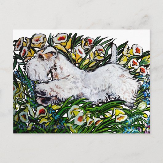 Sealyham Terrier Daffodils Briefkaart (Voorkant)
