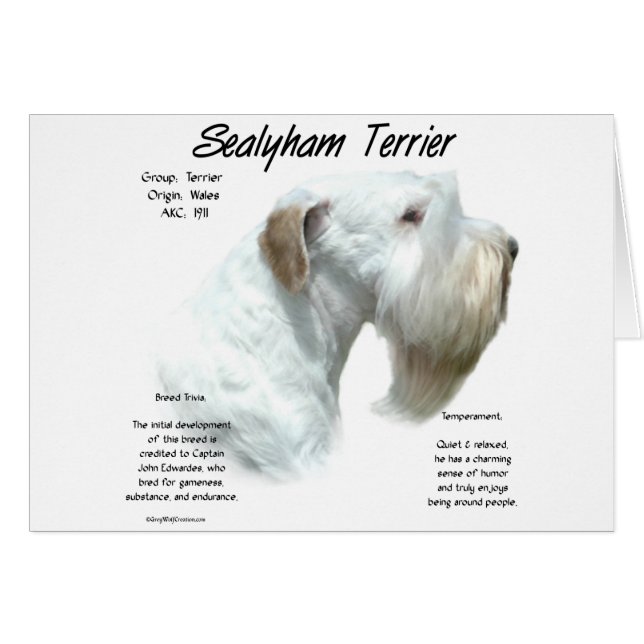 Sealyham Terrier Geschiedenis (Voorkant Horizontaal)