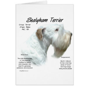 Sealyham Terrier Geschiedenis