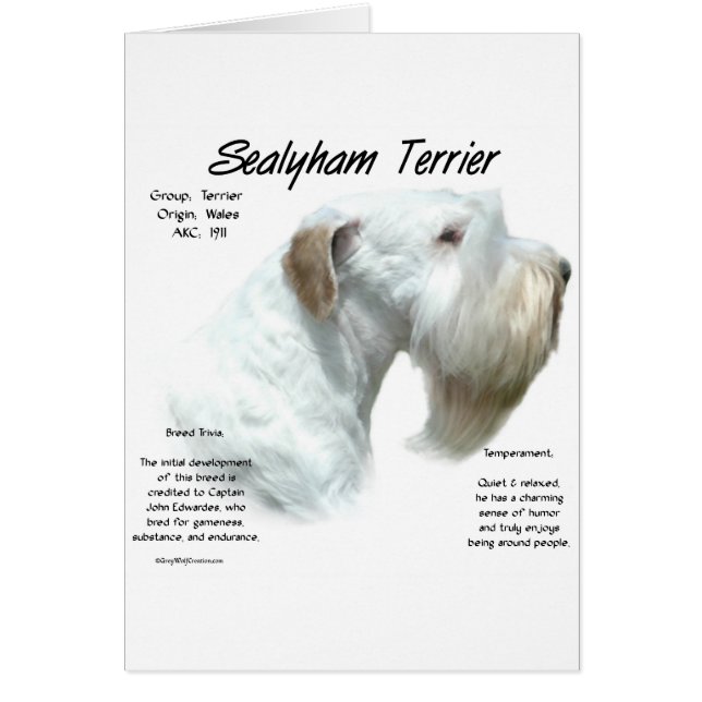 Sealyham Terrier Geschiedenis (Voorkant)