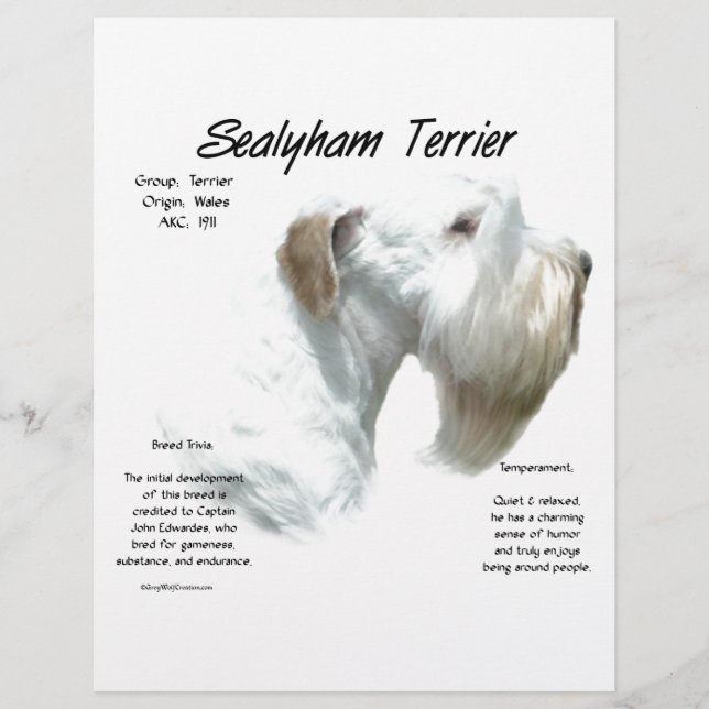 Sealyham Terrier Geschiedenis (Voorkant)
