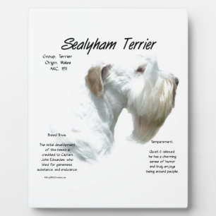 Sealyham Terrier Geschiedenis Fotoplaat