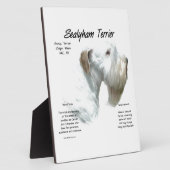 Sealyham Terrier Geschiedenis Fotoplaat (Zijkant)