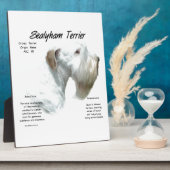 Sealyham Terrier Geschiedenis Fotoplaat (Zijkant)