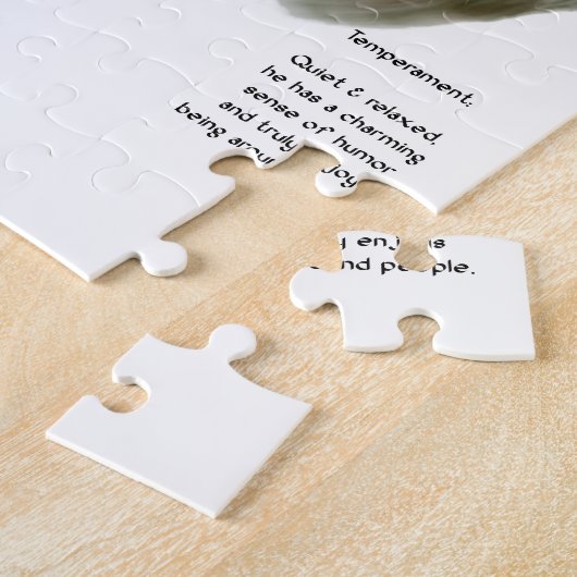 Sealyham Terrier Geschiedenis Legpuzzel (Zijkant)