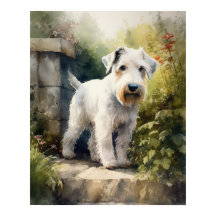 Sealyham Terrier Hondenkunst Print Poster