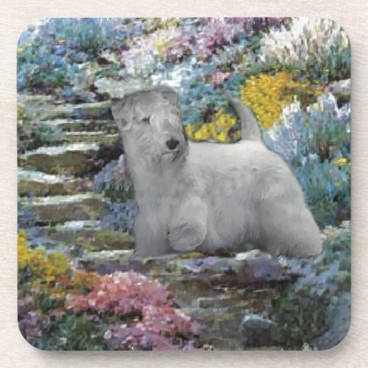 Sealyham Terrier Kunst Drankjes Onderzetter (Voorkant)