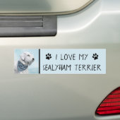 Sealyham Terrier Painting - Cute Original Dog Art Bumpersticker (Op auto)