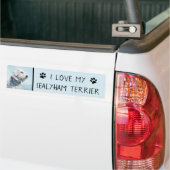 Sealyham Terrier Painting - Cute Original Dog Art Bumpersticker (Op Truck)
