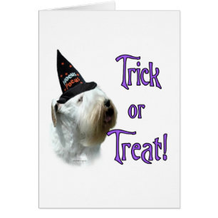 Sealyham Terrier Trick