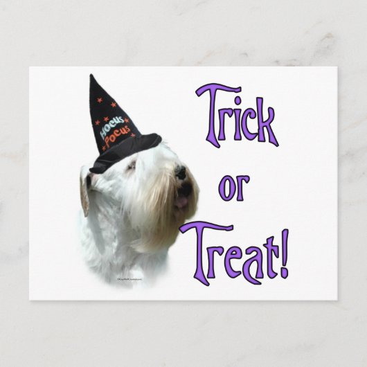 Sealyham Terrier Trick Briefkaart (Voorkant)