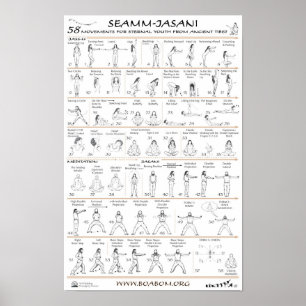 Seamm-Jasani: 58 Verplaatsingen voor jongeren in h Poster