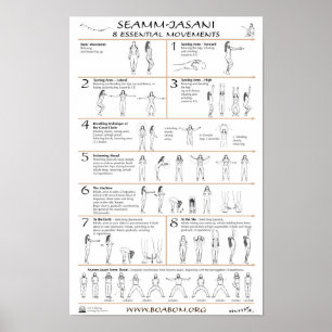 Seamm-Jasani: 8 essentiële bewegingen Poster