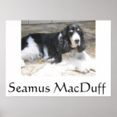 Seamus MacDuff Poster (Voorkant)