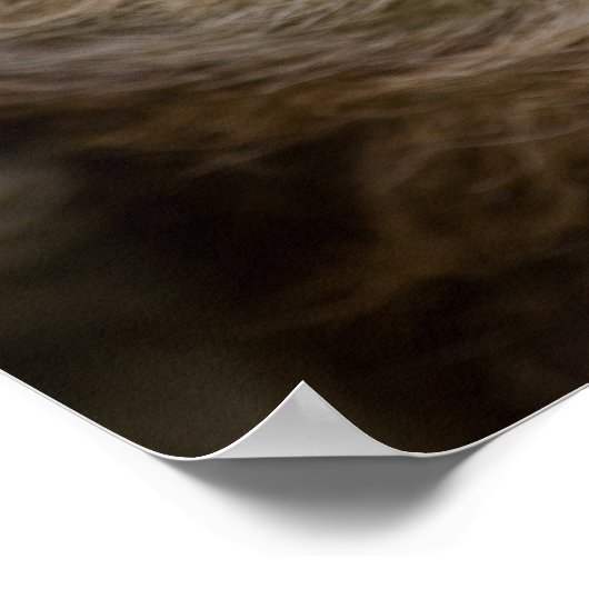 Sean Graesser Sloth Poster (Hoek)