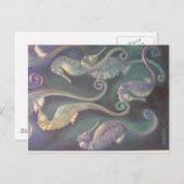 Seapaarden Briefkaart (Voorkant / Achterkant)