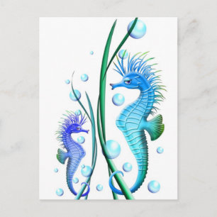 Seapaarden Cartoon Briefkaart