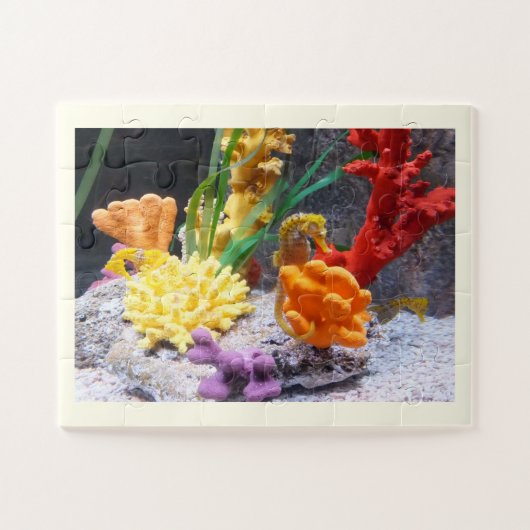 Seapaarden Legpuzzel (Horizontaal)