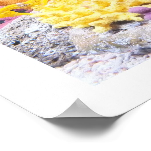 Seapaarden Poster (Hoek)