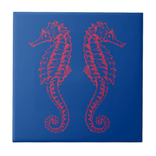 Seapaarden Tegeltje